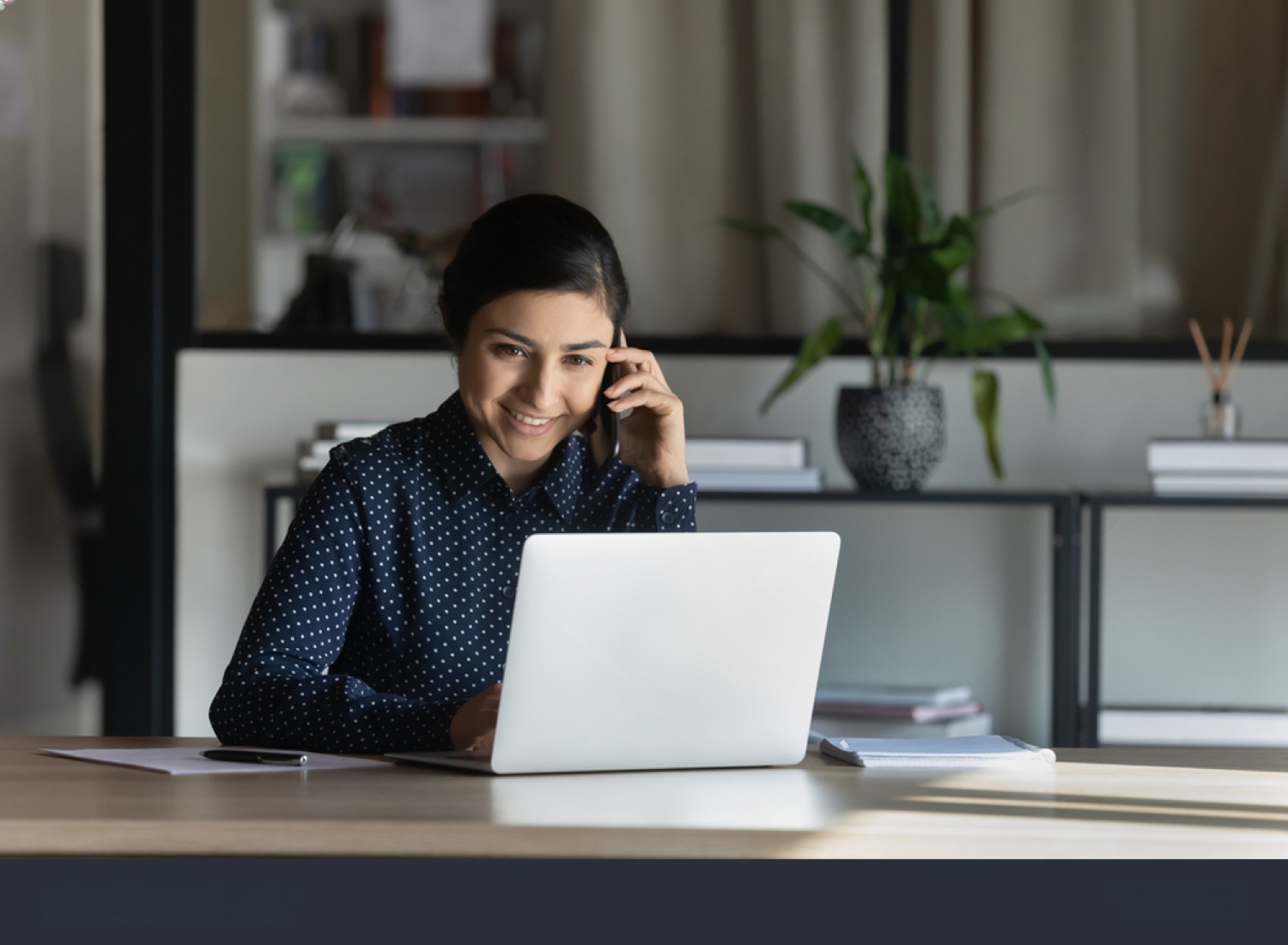 Professional IT consultation